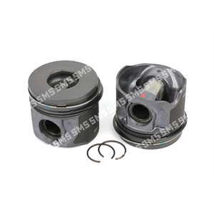 PISTON Assembly (oil cooled) 40.50mm Bowl, 2mm oil Std