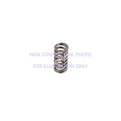 VALVE SPRING