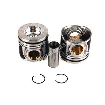 PISTON + PIN 4 / 2006->1 / 2012 Std