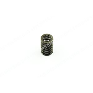 VALVE SPRING