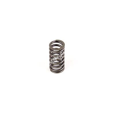 VALVE SPRING ->7 / 2015