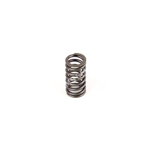 VALVE SPRING ->7 / 2015