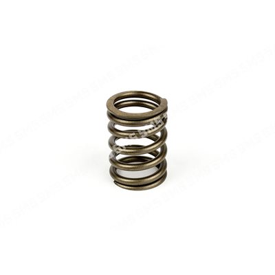 VALVE SPRING Outer