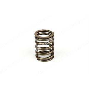 VALVE SPRING Outer