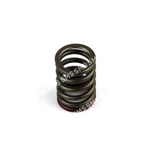 VALVE SPRING