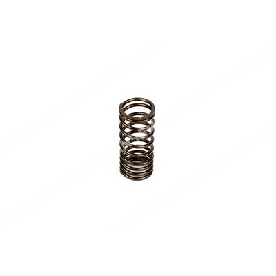 VALVE SPRING Outer (pink)