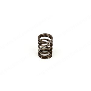 VALVE SPRING Outer