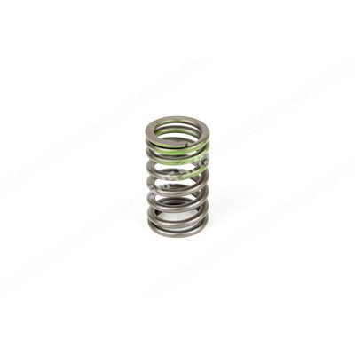 VALVE SPRING Outer (green)