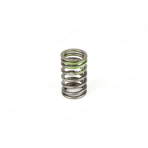 VALVE SPRING Outer (green)