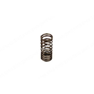 VALVE SPRING Inner