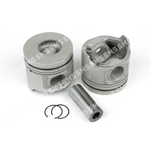 PISTON + PIN STD