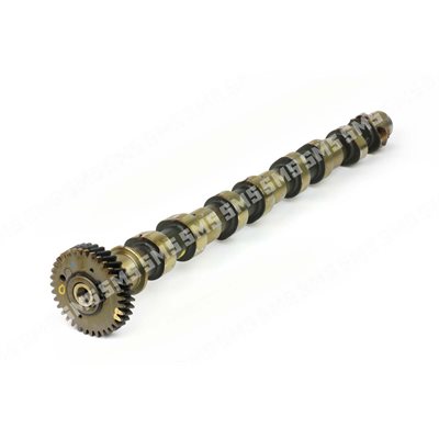 CAMSHAFT Exhaust (includes gear)