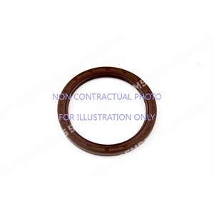 OIL SEAL Rear Main