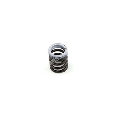 VALVE SPRING