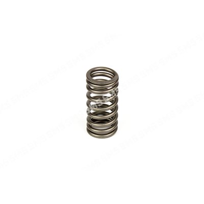 VALVE SPRING Inlet