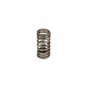 VALVE SPRING Inlet