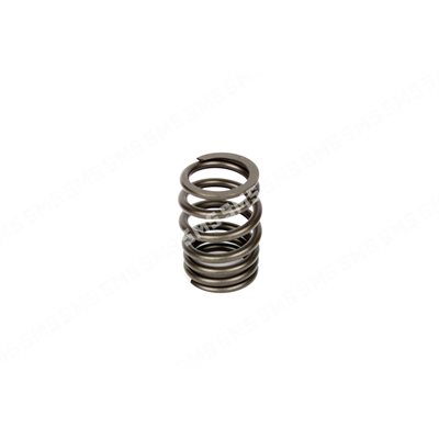 VALVE SPRING Inlet Outer