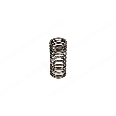 VALVE SPRING Inlet Inner