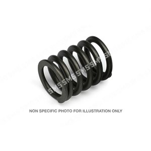 VALVE SPRING Outer 9 / 1984->