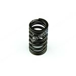 VALVE SPRING Inlet