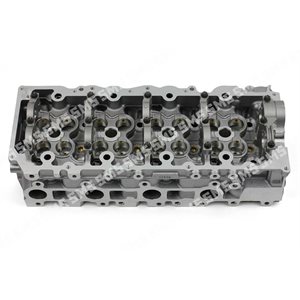 CYLINDER HEAD Bare Prado / Delta