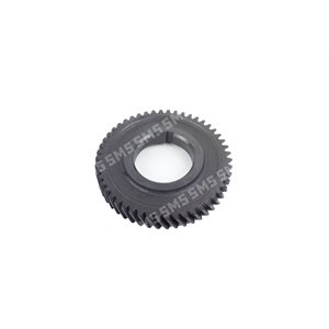 GEAR Crankshaft (oil pump drive)