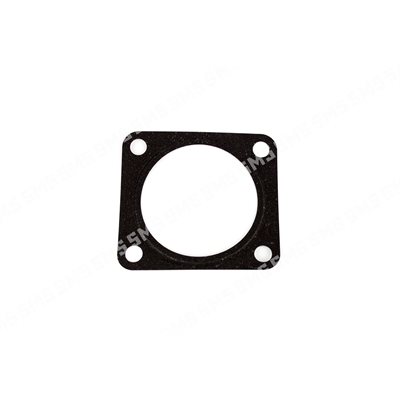 GASKET EGR Valve Assembly