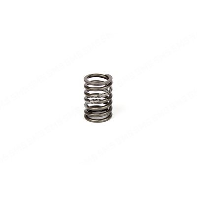 VALVE SPRING 8 / 1998>