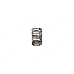 VALVE SPRING 8 / 1998>