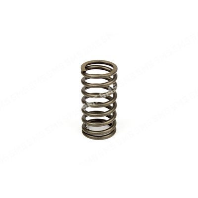 VALVE SPRING