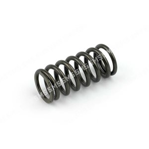 VALVE SPRING