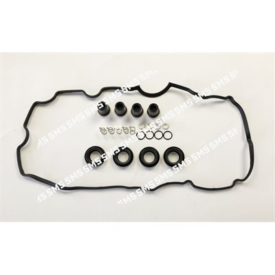 INJECTOR FITTING KIT (With Injector washer / oring)