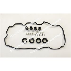 INJECTOR FITTING KIT (With Injector washer / oring)