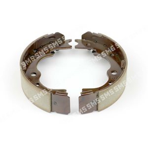 PARK BRAKE SHOE ASSY