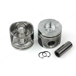 PISTON + PIN ->9 / 2006 (74mm length) Std