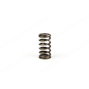 VALVE SPRING