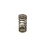 VALVE SPRING