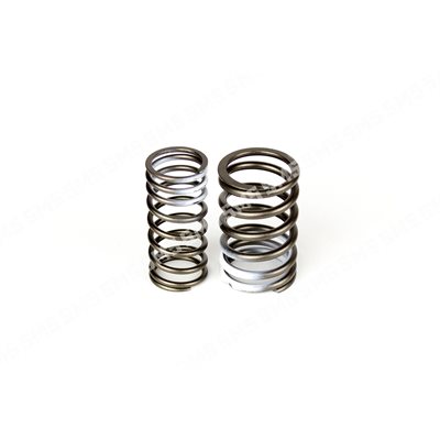 VALVE SPRING KIT (outer+inner)