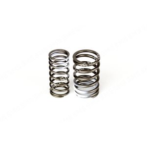 VALVE SPRING KIT (outer+inner)