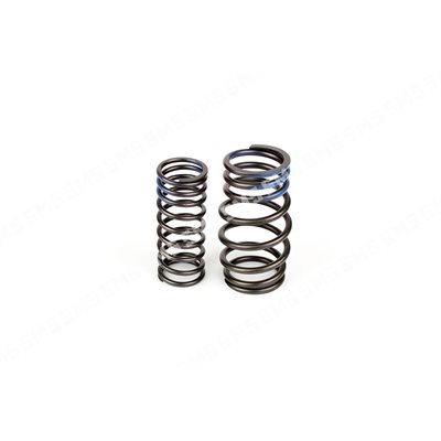 VALVE SPRING KIT (outer+inner)