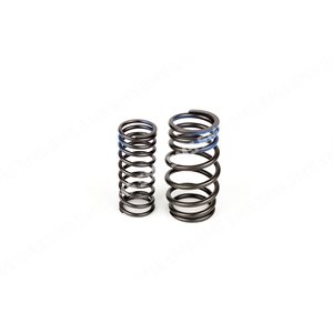 VALVE SPRING KIT (outer+inner)