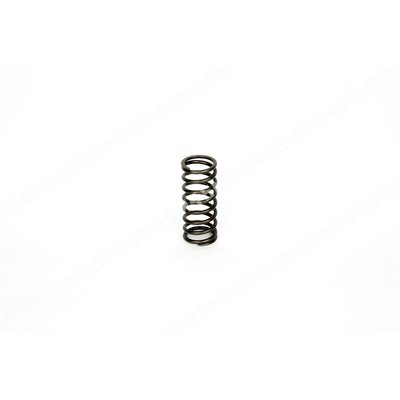 VALVE SPRING Outer