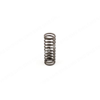 VALVE SPRING