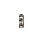 VALVE SPRING