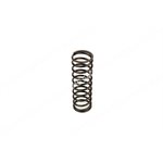 VALVE SPRING Outer