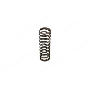 VALVE SPRING Outer