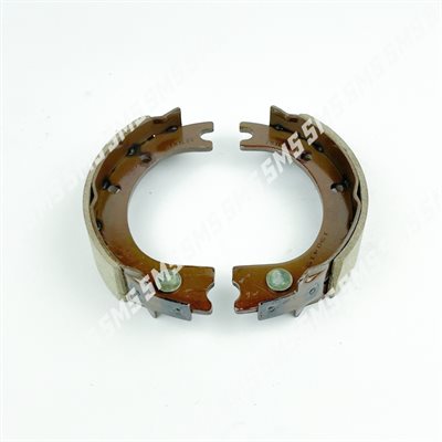 PARK BRAKE SHOE ASSY