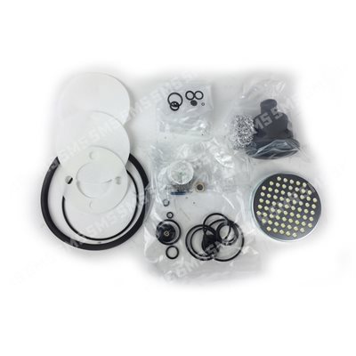 AIR DRYER ORING + DESICCANT + PISTON / VALVE  KIT