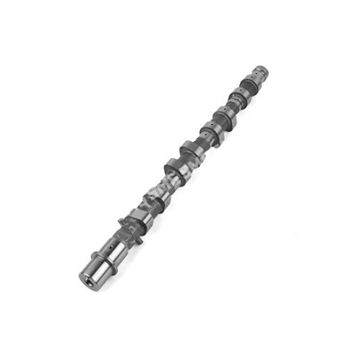 CAMSHAFT Exhaust