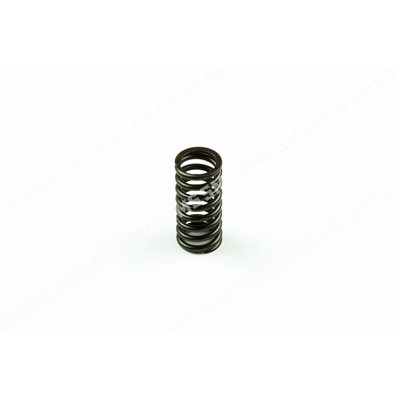 VALVE SPRING